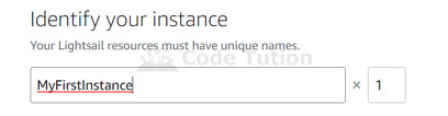 instance_names