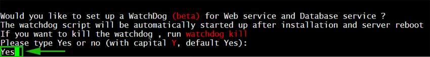 Would you like to set up a WatchDog (beta) for Web service and Database service