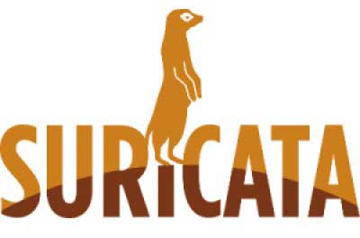 Install Suricata on Linux